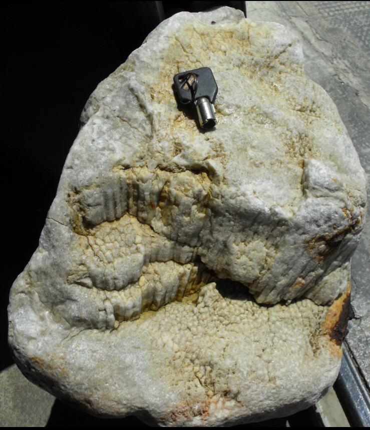 Minerale o fossile